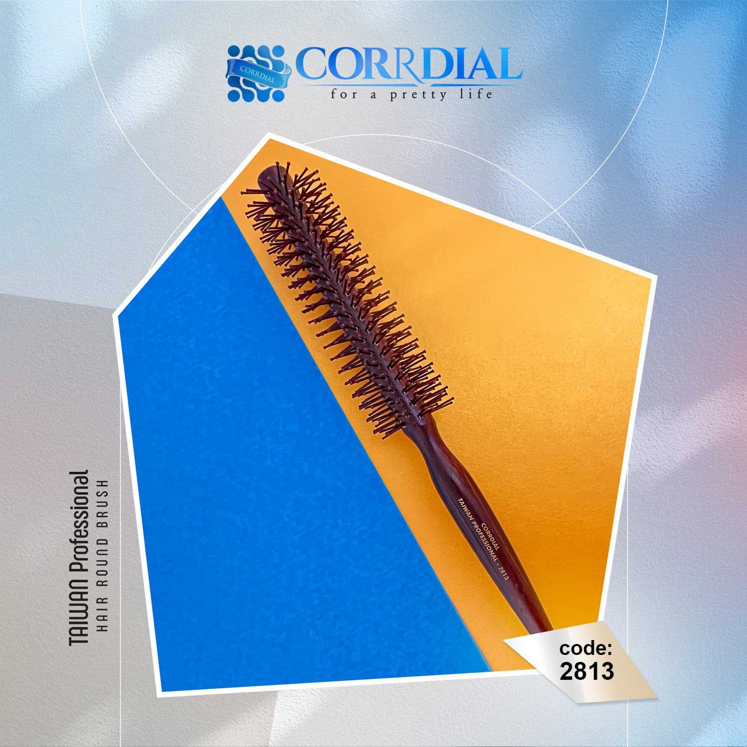 برس گرد چوبی نسوز کردیال - 2813 (بیمه ارسال، عمده و خرده فروشی، 10 پر - CORRDIAL-TAIWAN PROFESSIONAL WOODEN BRUSH)